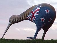 pic for kiwi flag